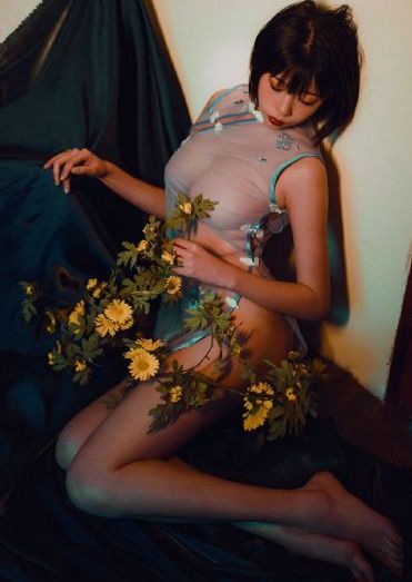 红猪 字幕_快播免费免费国语在线观看